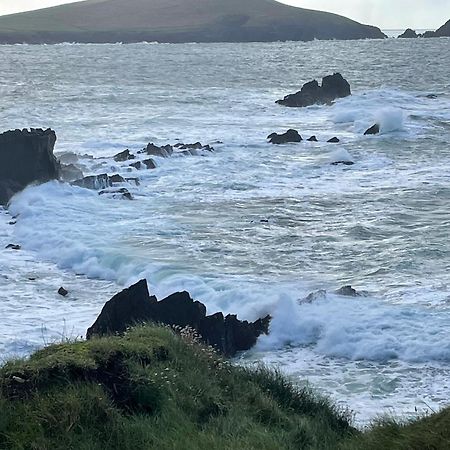 Murphy'S Guesthouse Dingle Buitenkant foto