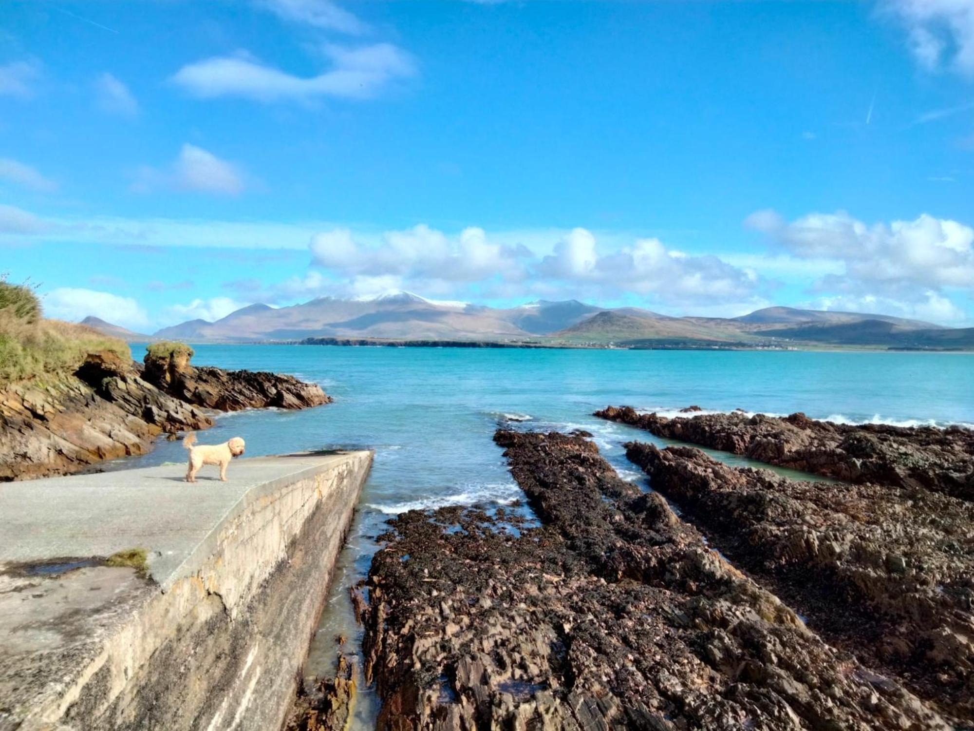 Murphy'S Guesthouse Dingle Buitenkant foto
